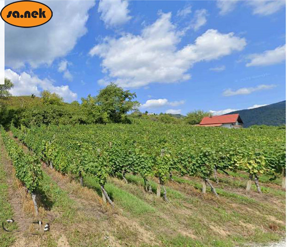 Terreno edificabile - Sveta Jana