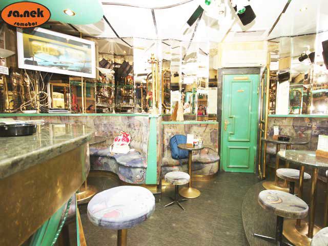 LOCALE NEL CENTRO DI SAMOBOR