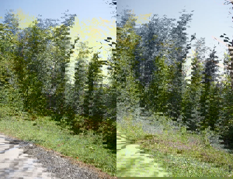 Terreno edificabile - Bregana