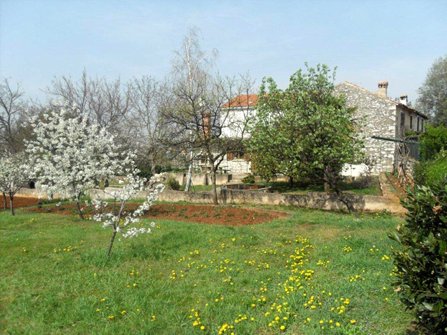Terreno con una vecchia casa di pietra