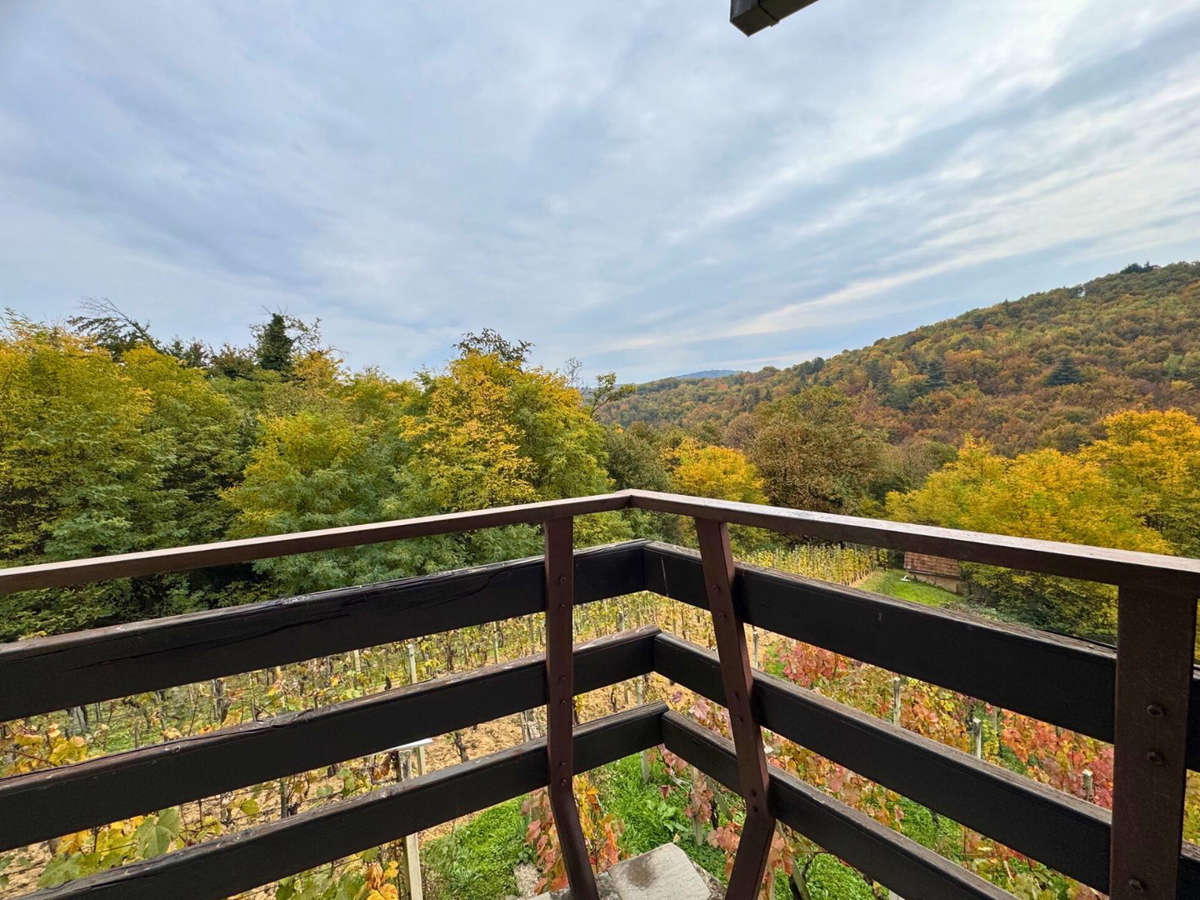 Casa vacanze con vigneto nei dintorni di Samobor
