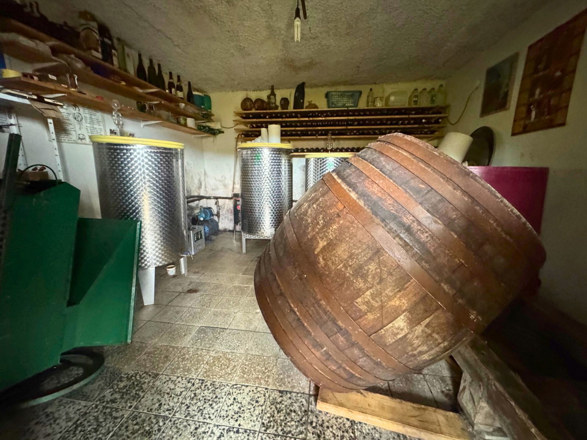 Casa vacanze con vigneto nei dintorni di Samobor