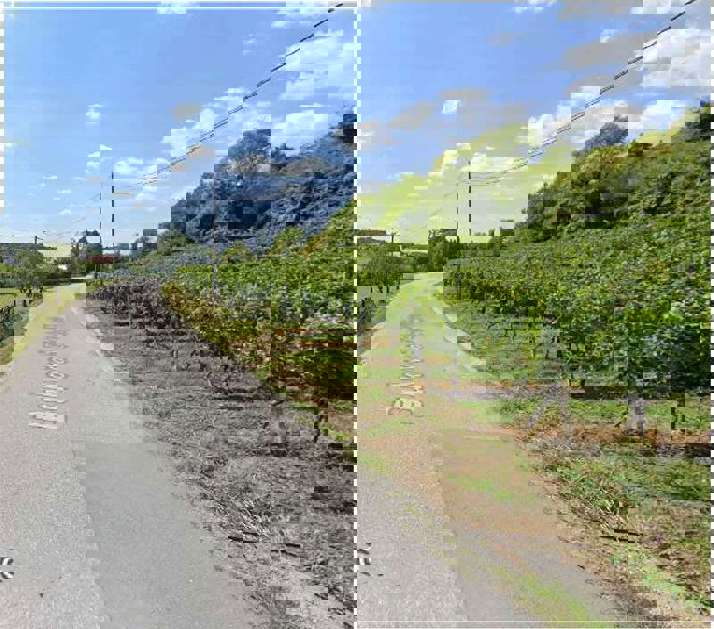 Terreno edificabile - Sveta Jana