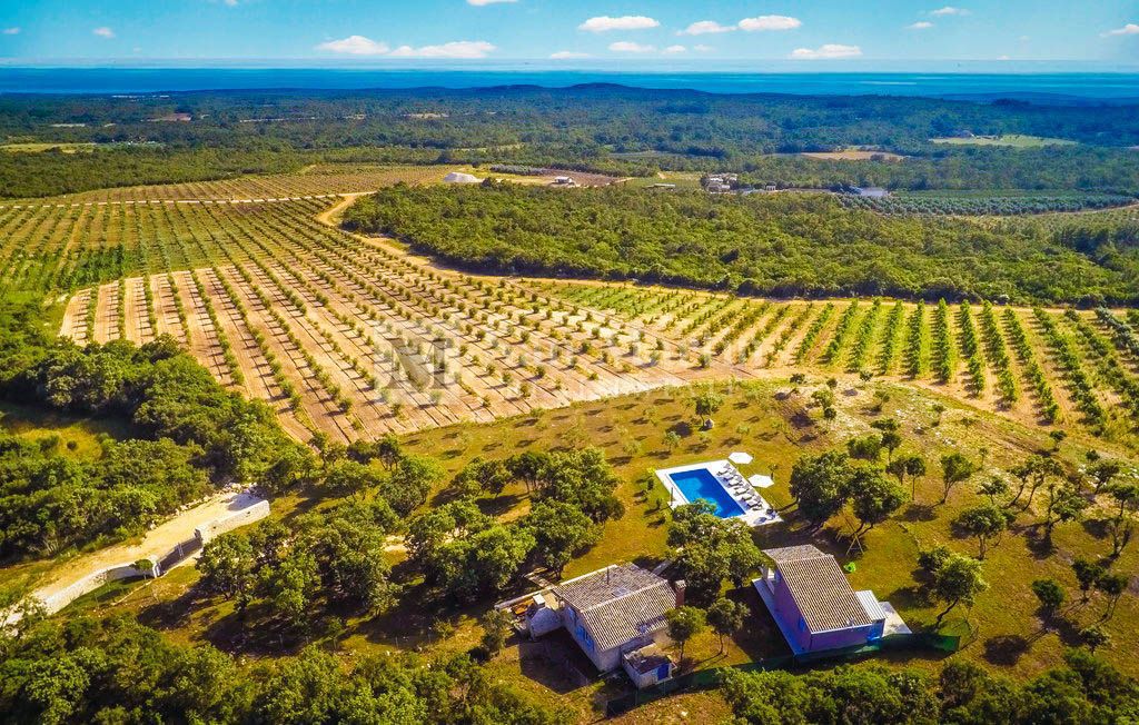 Rovigno, dintorni - bellissima proprietà isolata