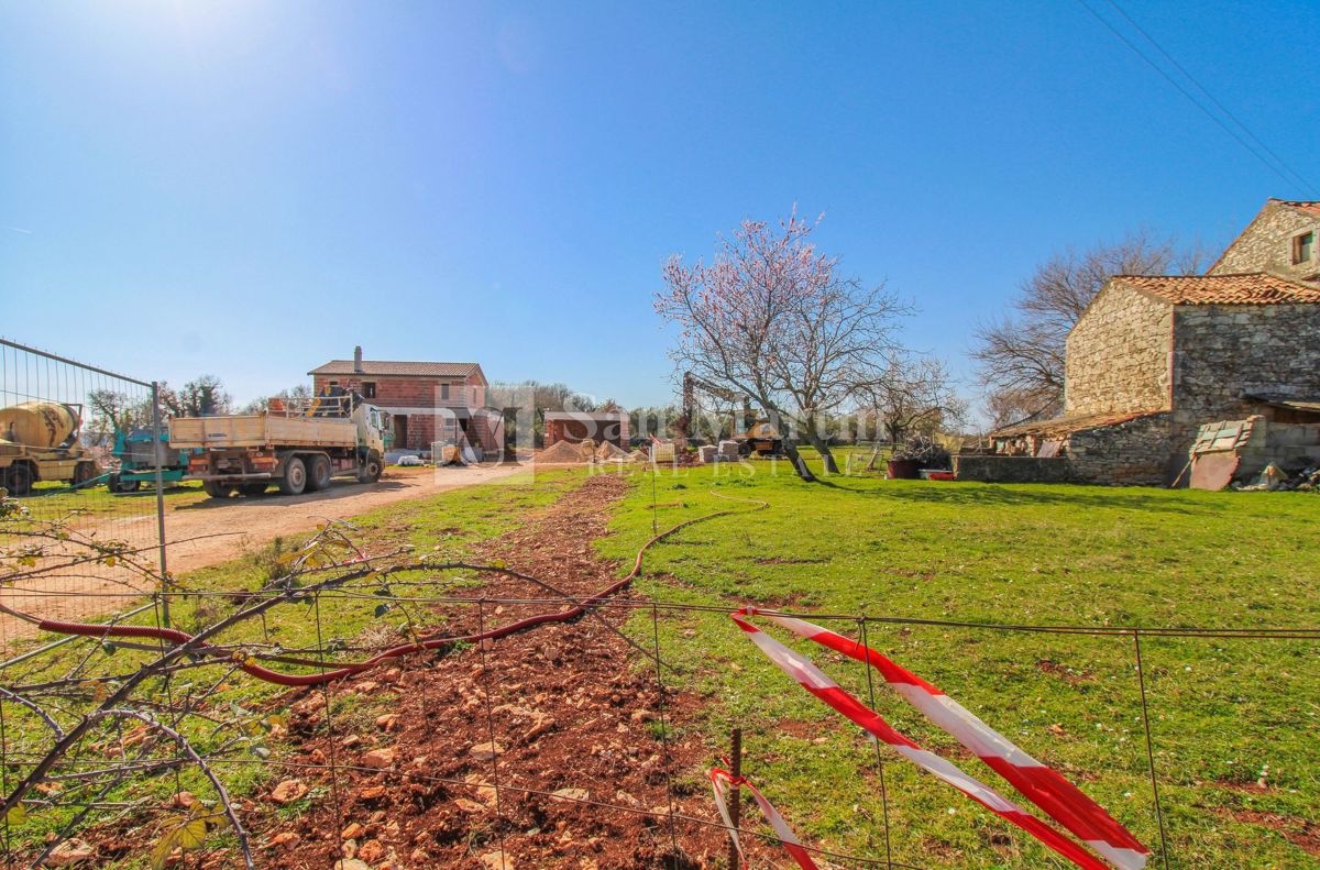 Cittanova-dintorni, terreno costruibile