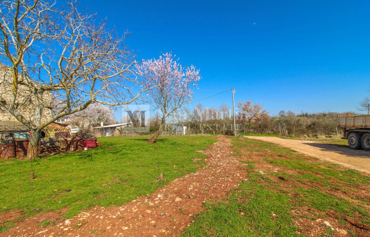 Cittanova-dintorni, terreno costruibile