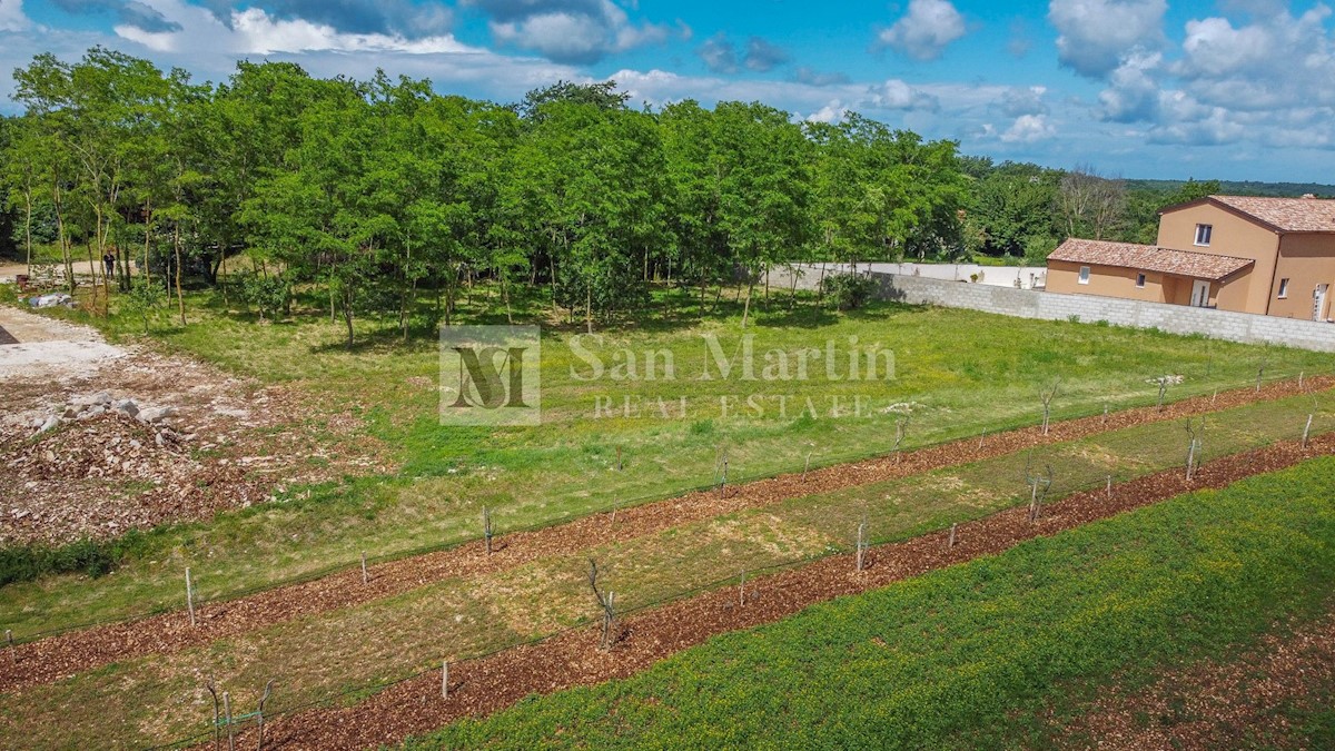 Gimino, dintorni - bel terreno in un piccolo villaggio