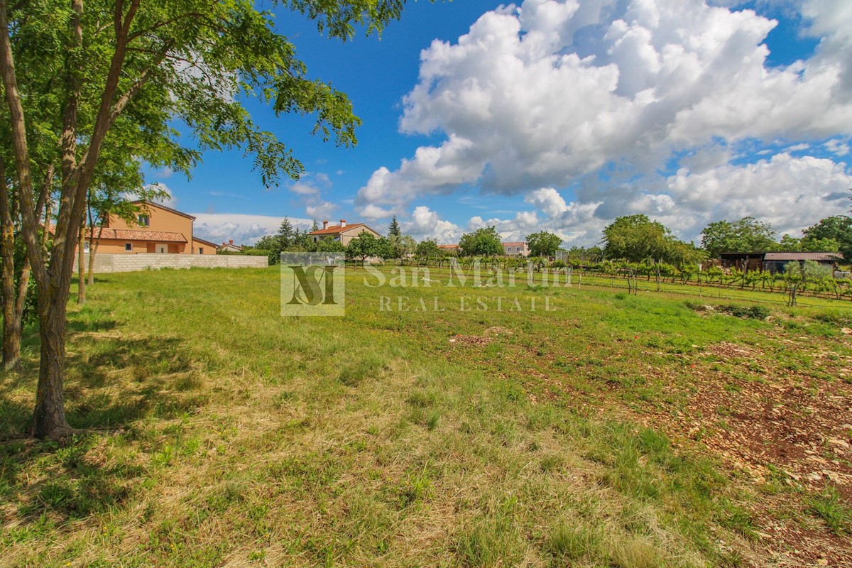 Gimino, dintorni - bel terreno in un piccolo villaggio