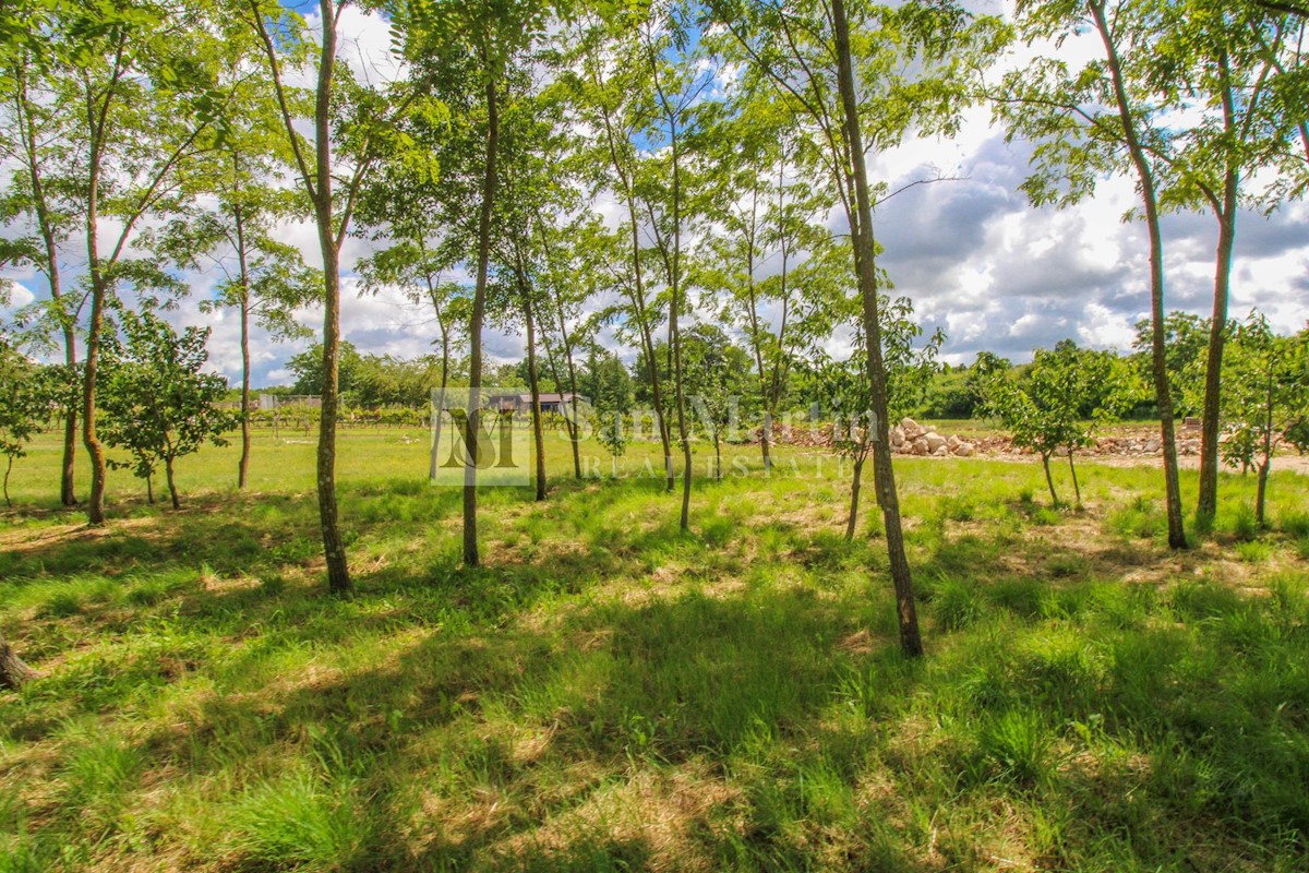 Gimino, dintorni - bel terreno in un piccolo villaggio