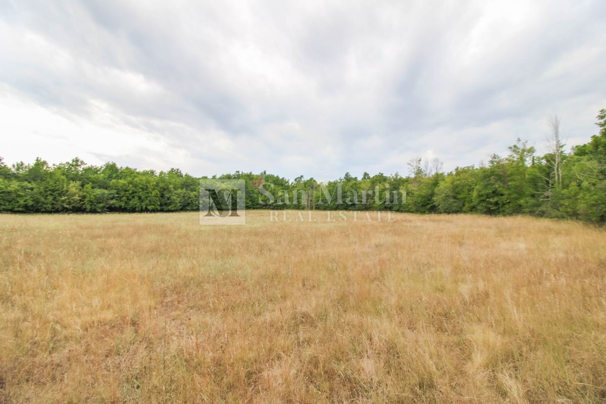 Parenzo, dintorni - Terreno agricolo 20.000 m2 vicino alla strada