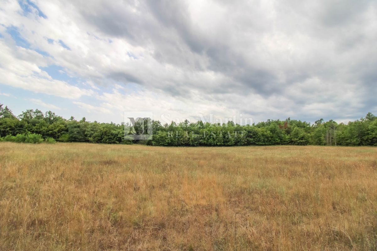 Parenzo, dintorni - Terreno agricolo 20.000 m2 vicino alla strada