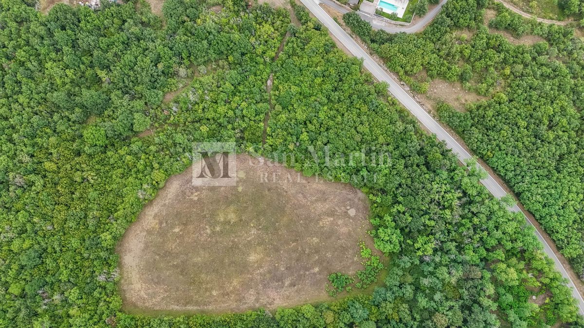 Parenzo, dintorni - Terreno agricolo 20.000 m2 vicino alla strada