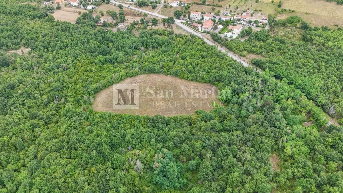 Parenzo, dintorni - Terreno agricolo 20.000 m2 vicino alla strada