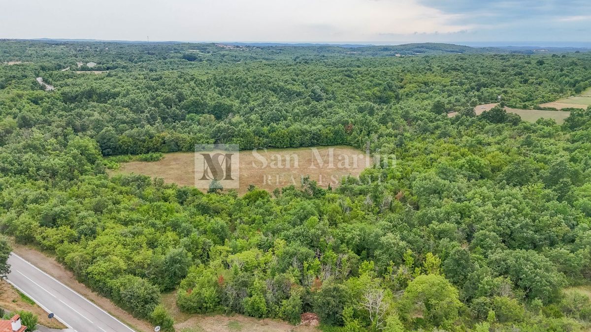 Parenzo, dintorni - Terreno agricolo 20.000 m2 vicino alla strada