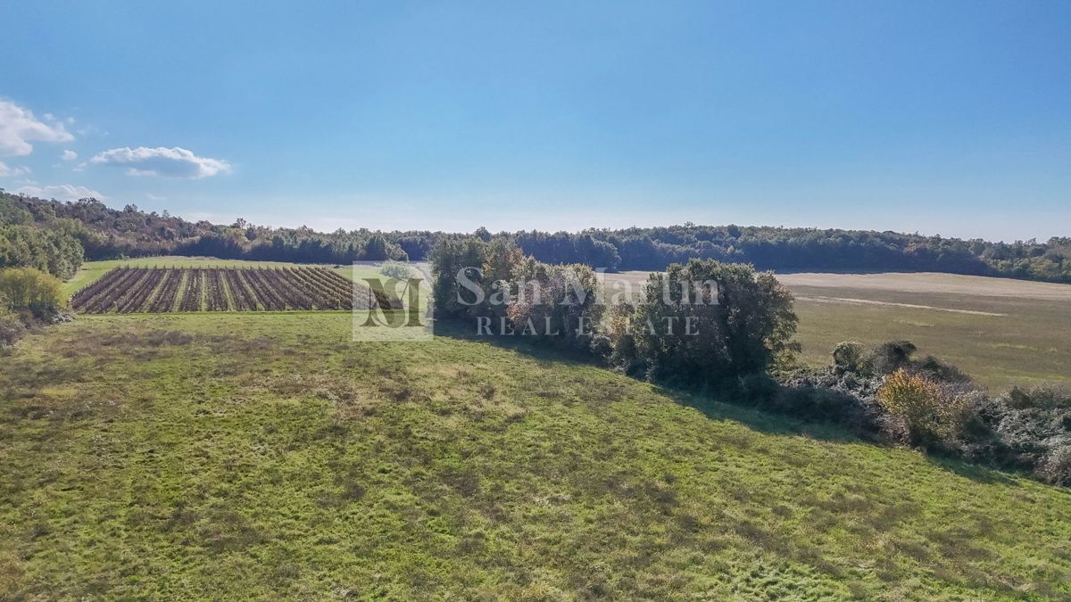 Parenzo – Terreno agricolo 14.800 m²!!!