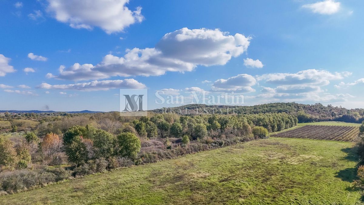 Parenzo – Terreno agricolo 14.800 m²!!!