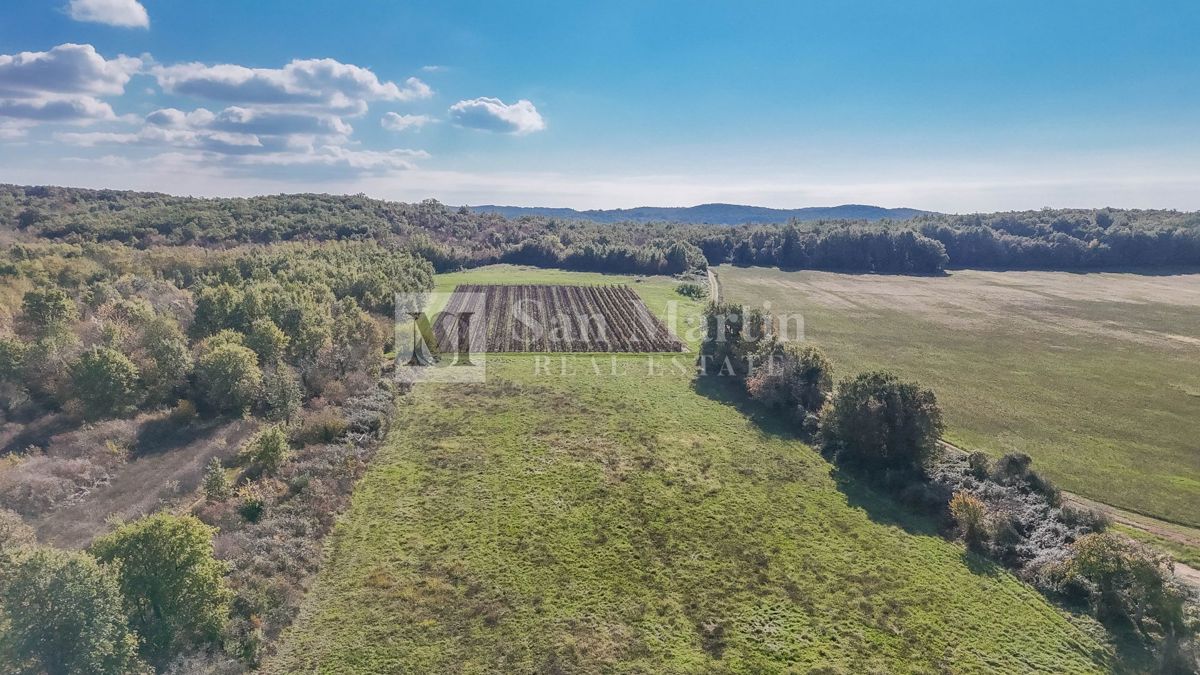 Parenzo – Terreno agricolo 14.800 m²!!!