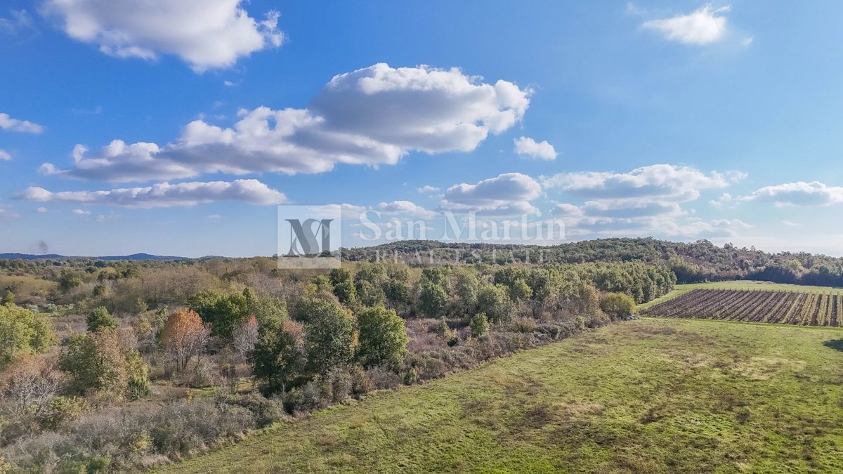 Parenzo – Terreno agricolo 14.800 m²!!!