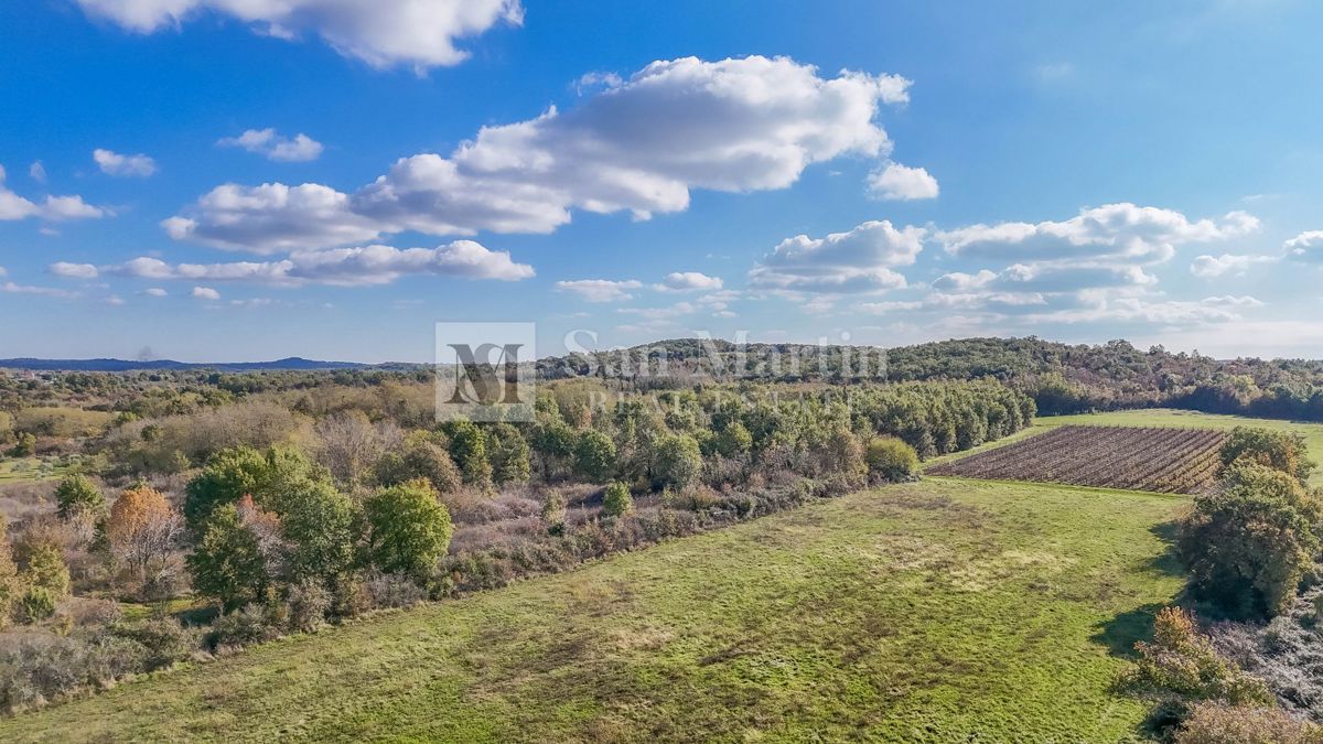 Parenzo – Terreno agricolo 14.800 m²!!!