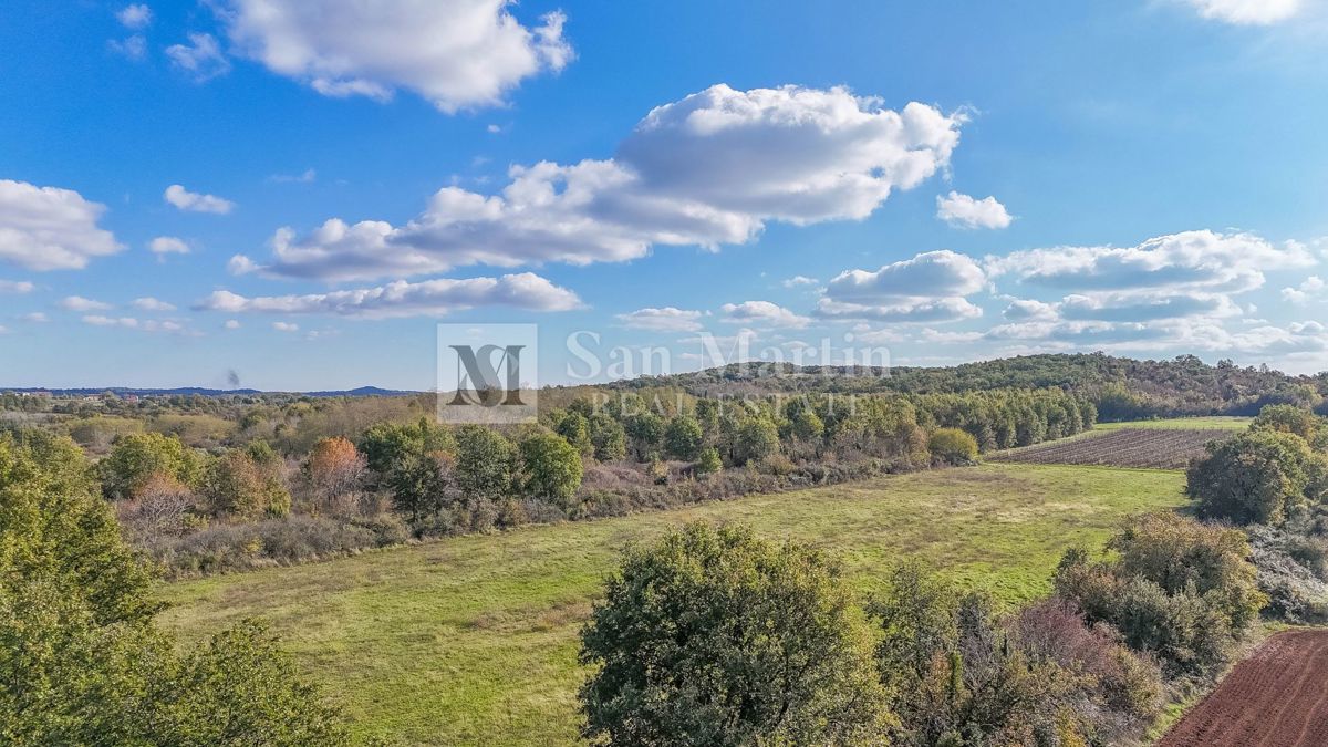 Parenzo – Terreno agricolo 14.800 m²!!!