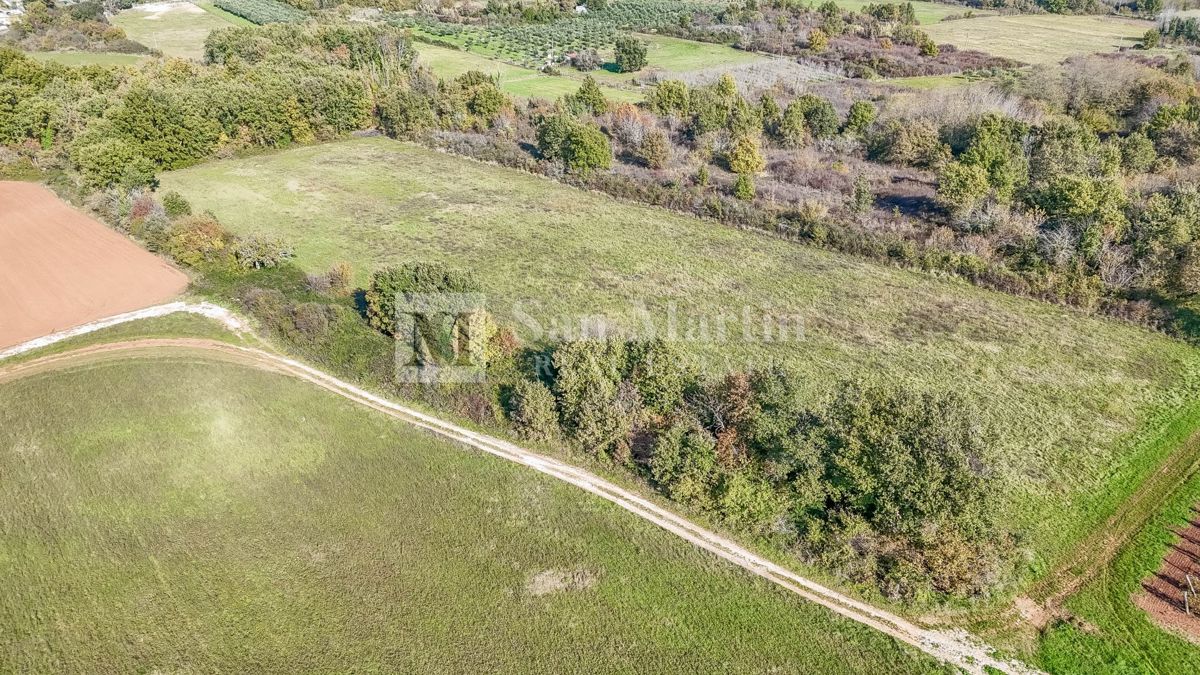 Parenzo – Terreno agricolo 14.800 m²!!!