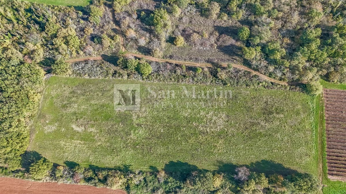 Parenzo – Terreno agricolo 14.800 m²!!!