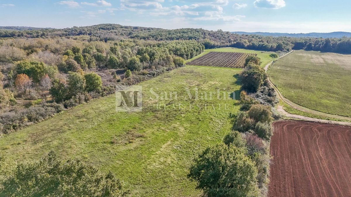 Parenzo – Terreno agricolo 14.800 m²!!!