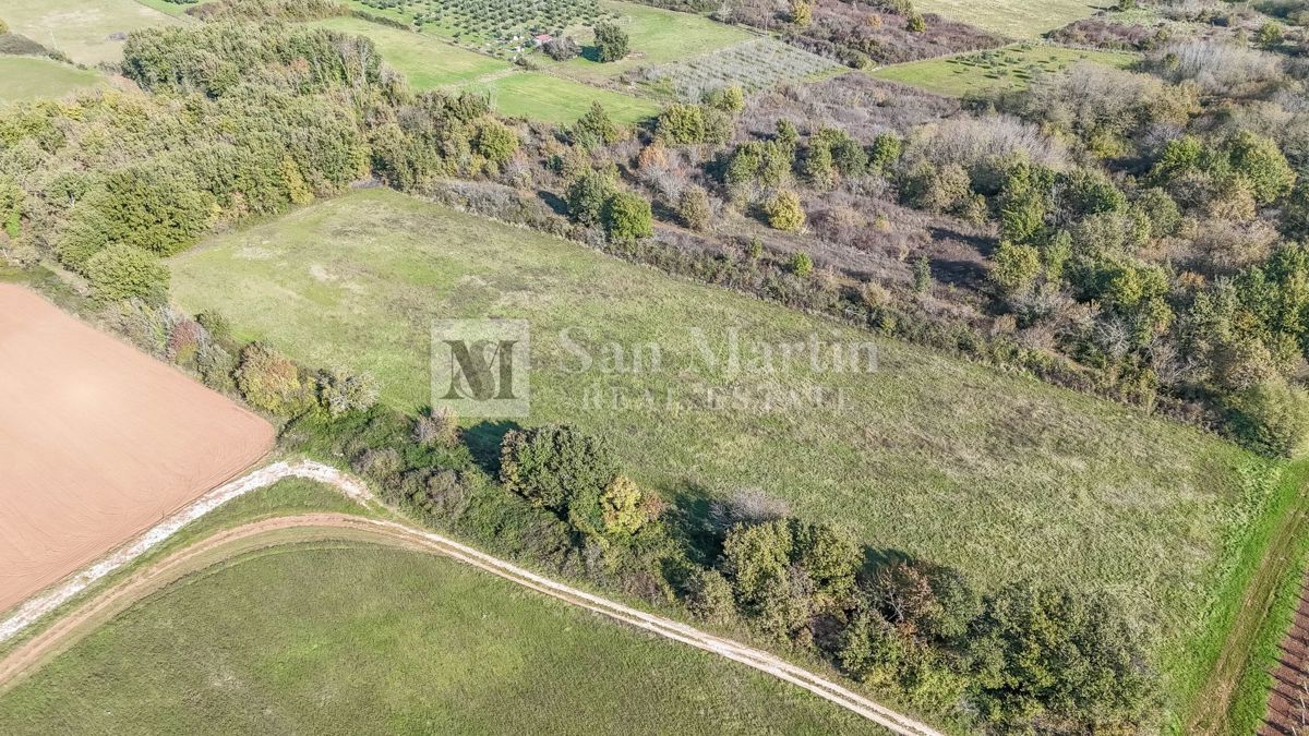 Parenzo – Terreno agricolo 14.800 m²!!!