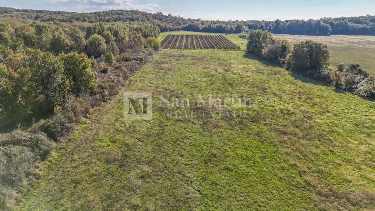 Parenzo – Terreno agricolo 14.800 m²!!!