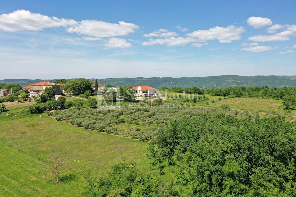 Dintorni di Parenzo, bellissima villa autoctona di lusso