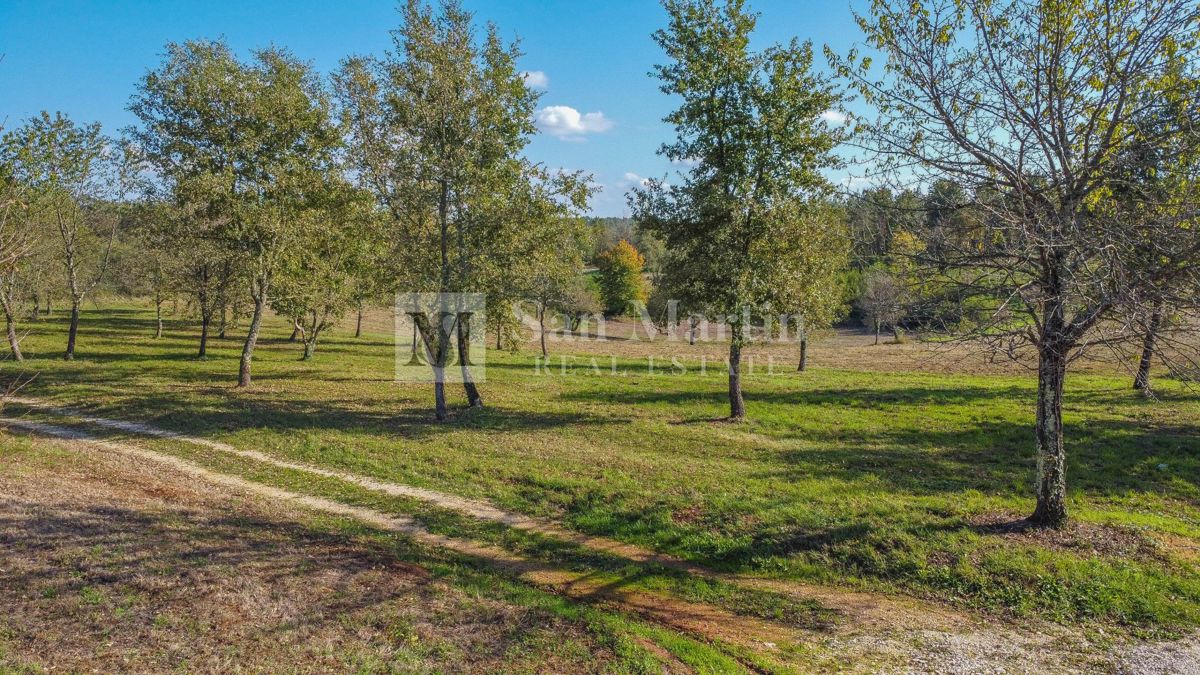 Visignano, dintorni - terreno edificabile in una bella posizione