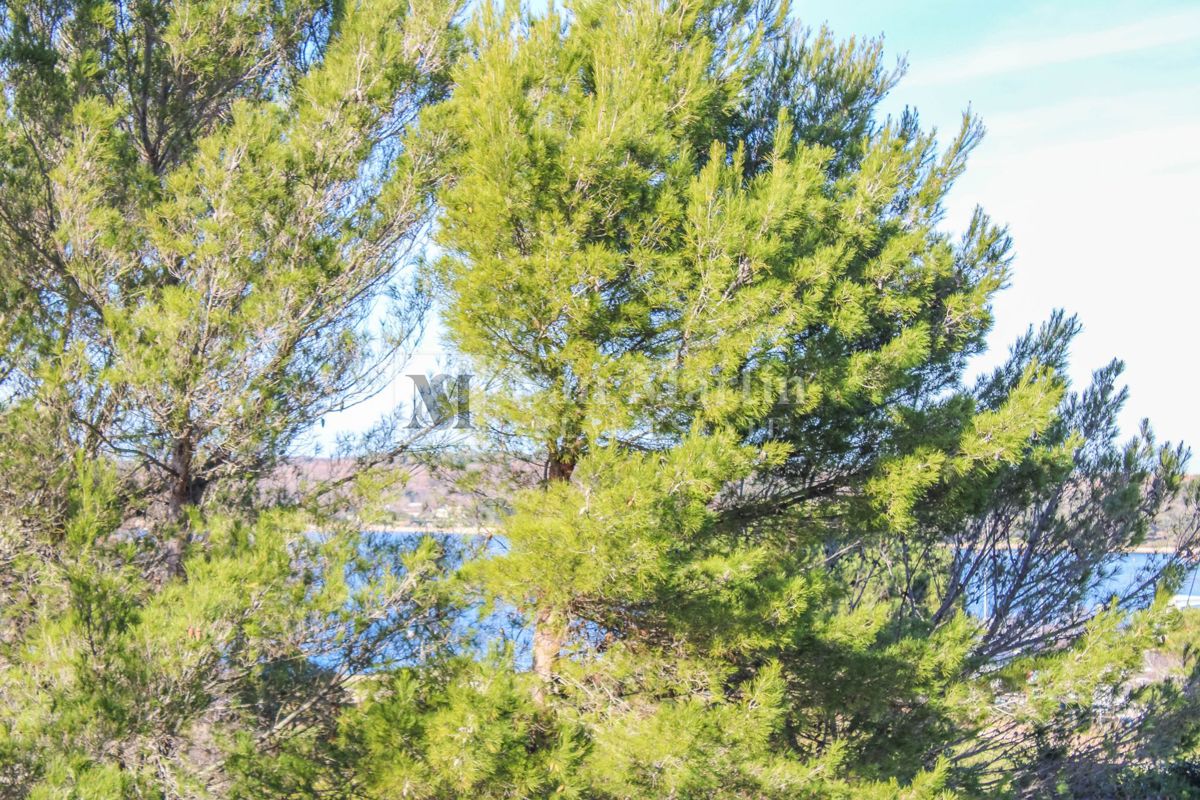 Parenzo, dintorni - Appartamento vicino alla spiaggia con vista mare