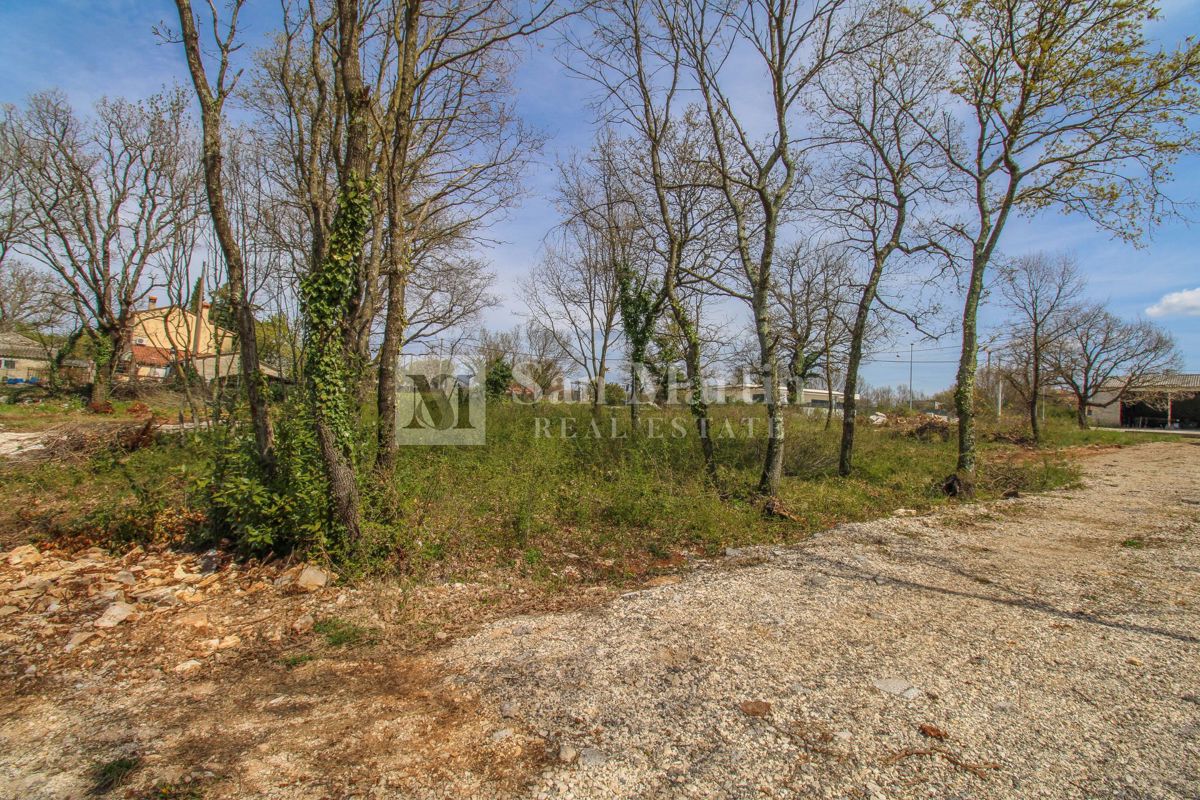 Rovigno, dintorni - terreno in ottima posizione