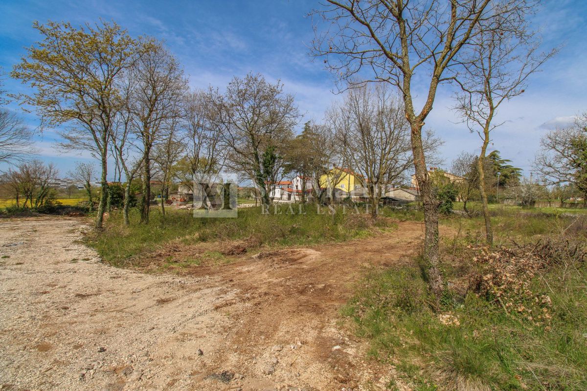 Rovigno, dintorni - terreno in ottima posizione