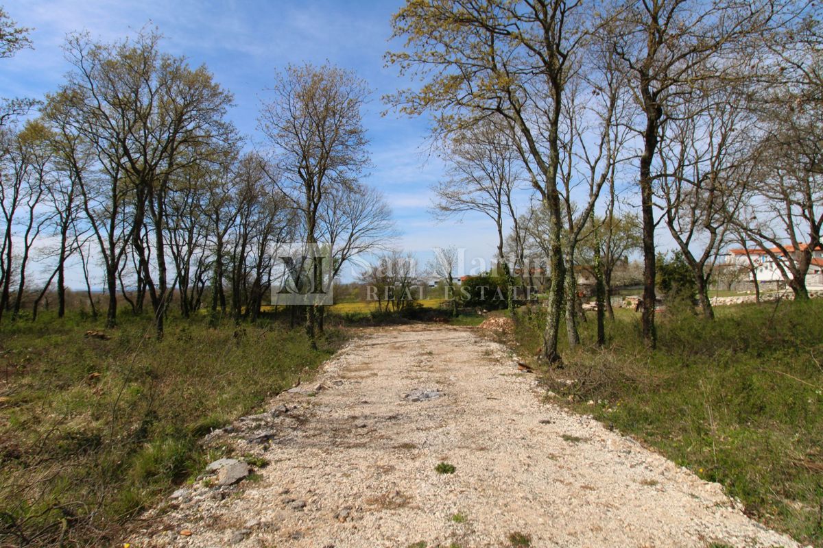 Rovigno, dintorni - terreno in ottima posizione