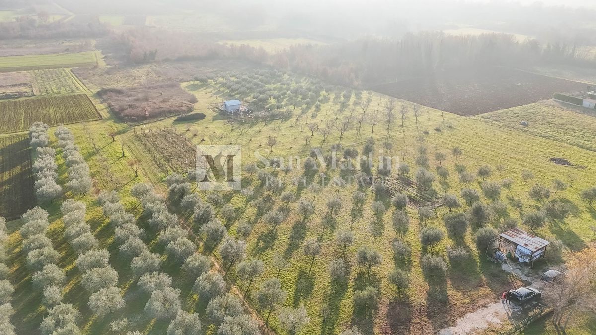 Parenzo, dintorni - Terreno per la costruzione di 5 case vicino alla città