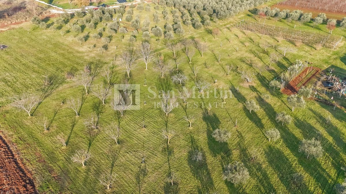 Parenzo, dintorni - Terreno per la costruzione di 5 case vicino alla città