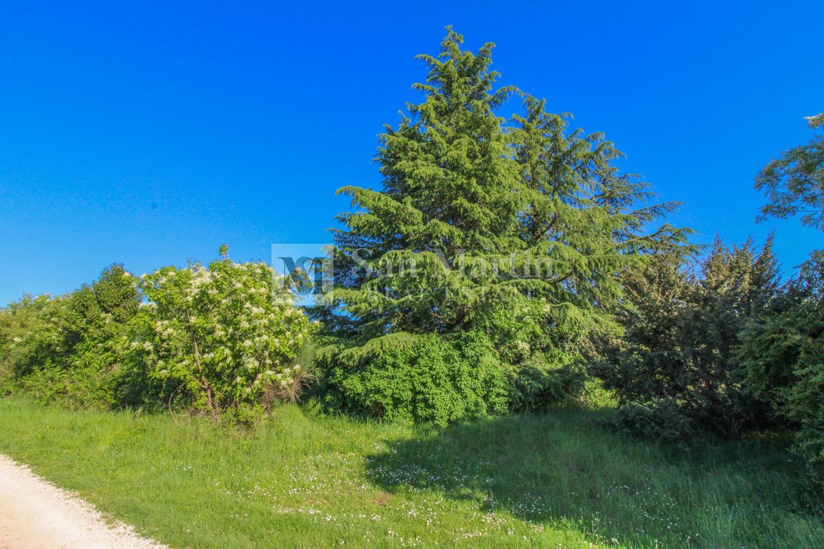 Umago-Terreno edificabile di investimento TOP per scopi turistici