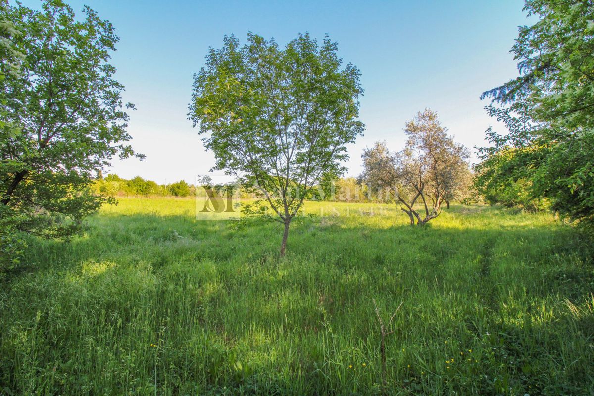Umago-Terreno edificabile di investimento TOP per scopi turistici