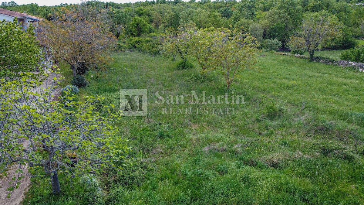 Gimino, dintorni, terreno in ottima posizione