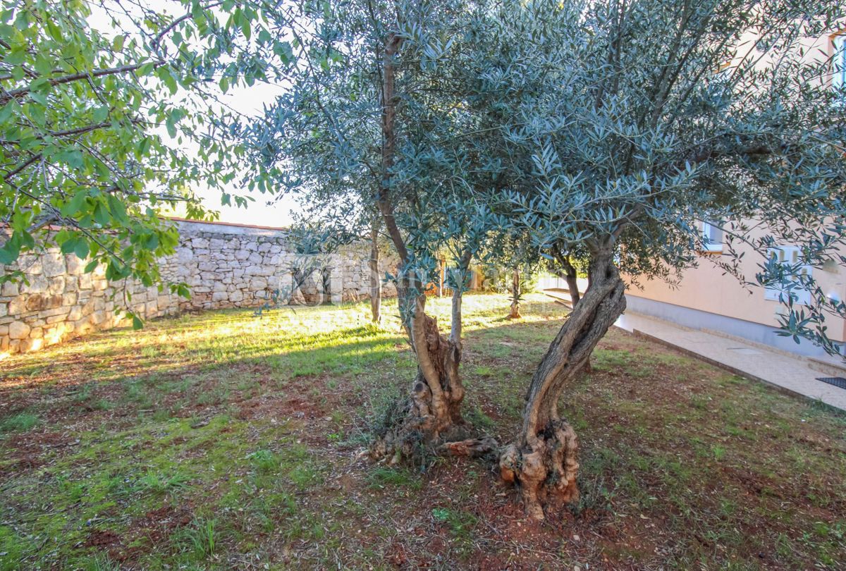 Poreč - Appartamento attraente con un ampio giardino, vicino al mare