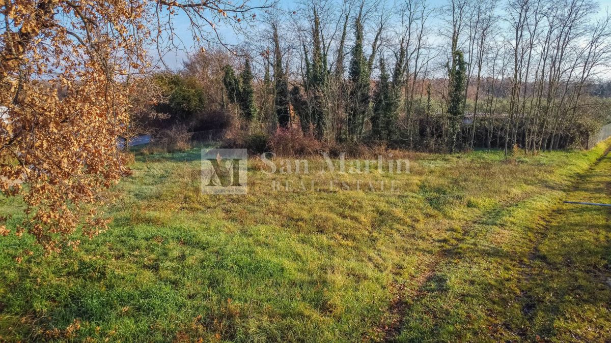 Parenzo, dintorni - terreno attraente vicino al mare