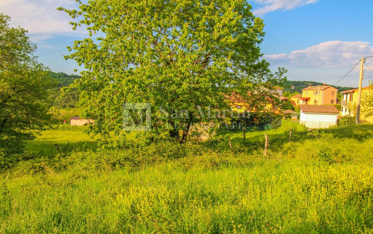 Parenzo-dintorni, bel terreno di costuzione 