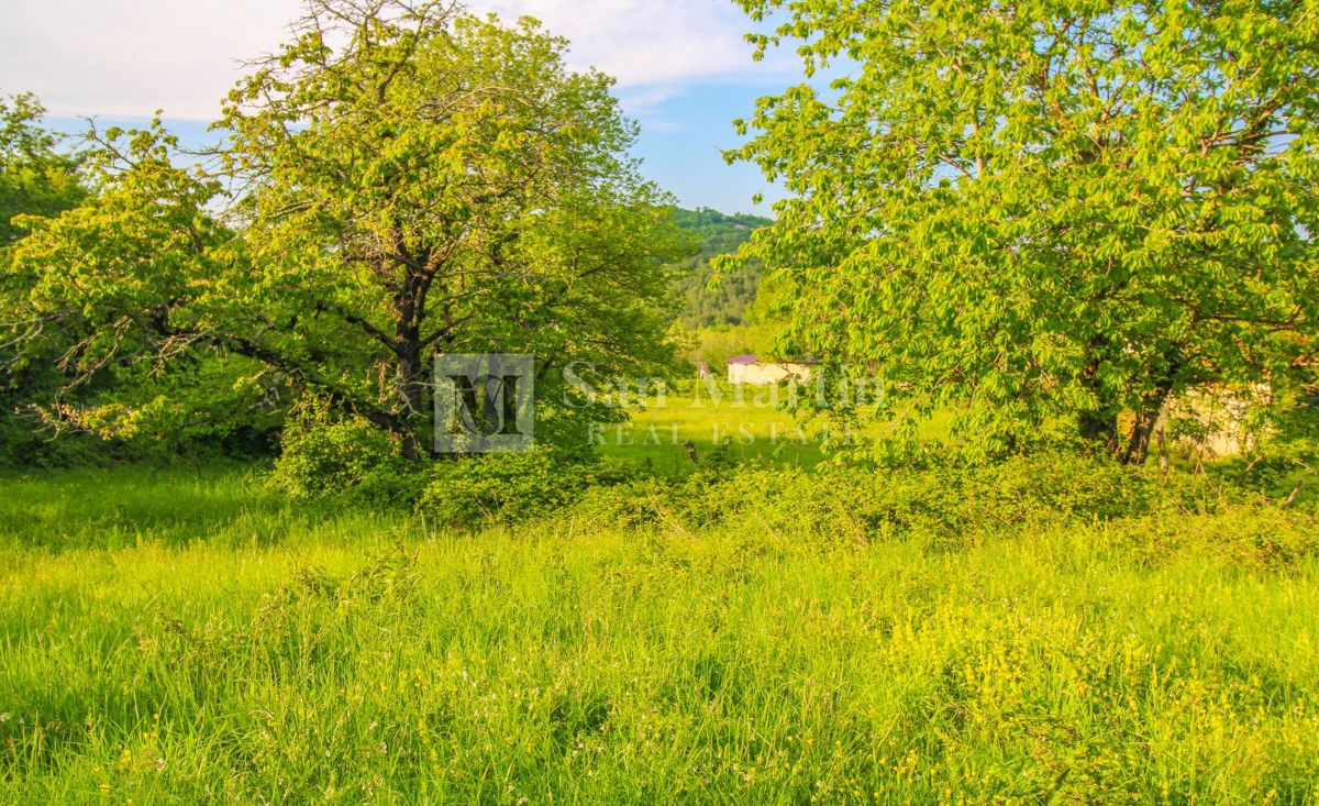 Parenzo-dintorni, bel terreno di costuzione 