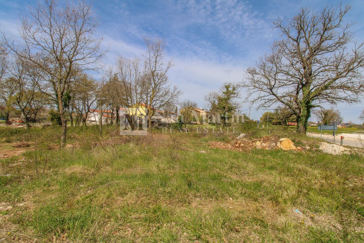 Rovigno, dintorni - bellissimo terreno in un'ottima posizione