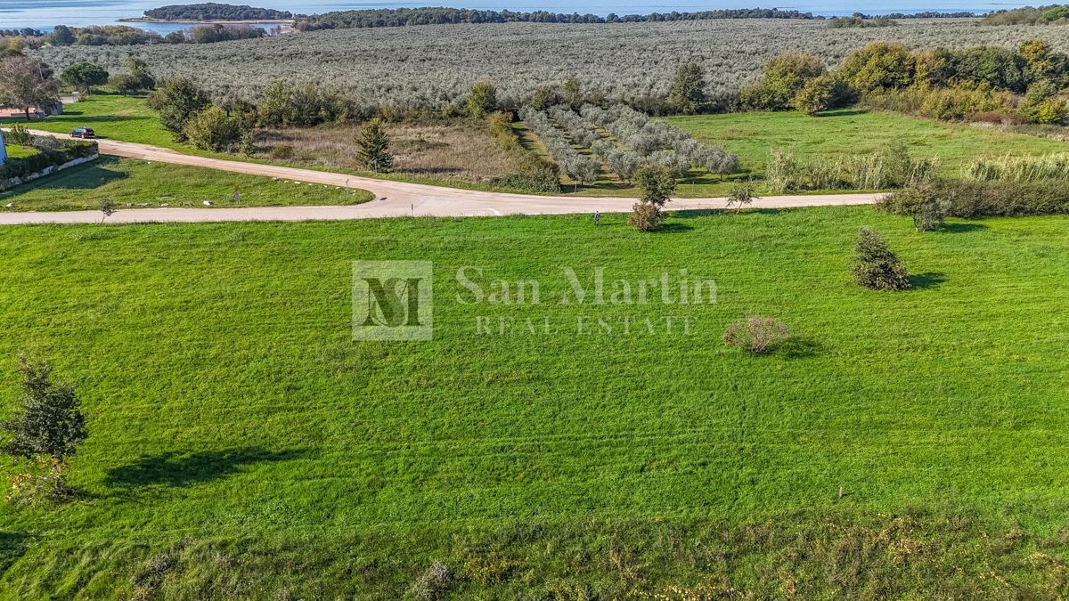 Parenzo, dintorni - terreno in ottima posizione vicino al mare