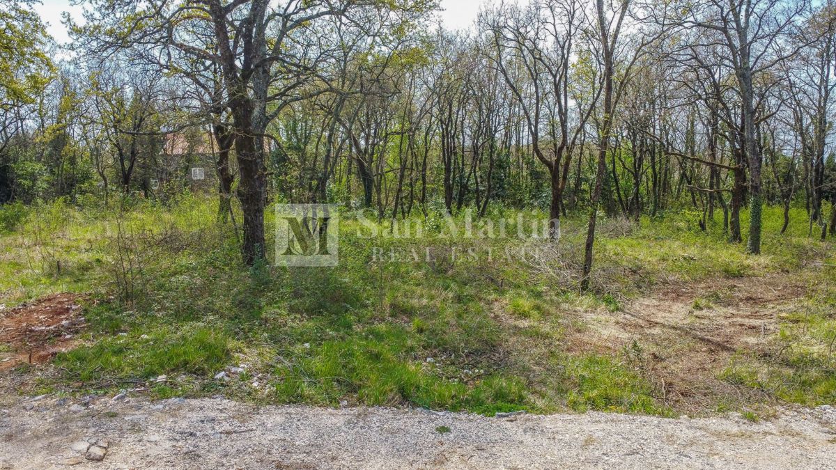 Rovigno, dintorni - terreno edificabile con vista mare