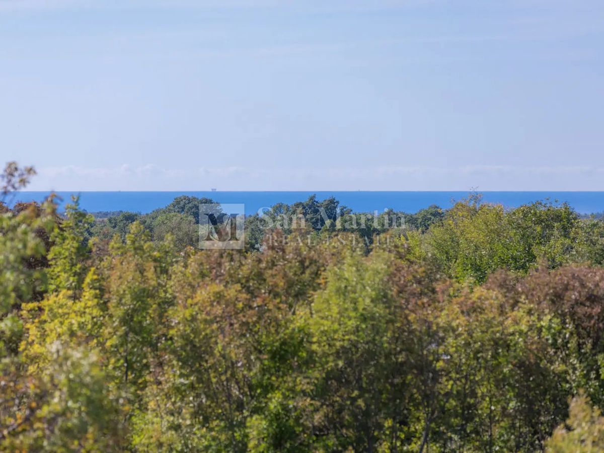 Istria, Svetvinčenat – casa tradizionale su ampio terreno