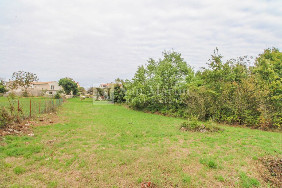 Gimino, dintorni - bel terreno nel centro del paese