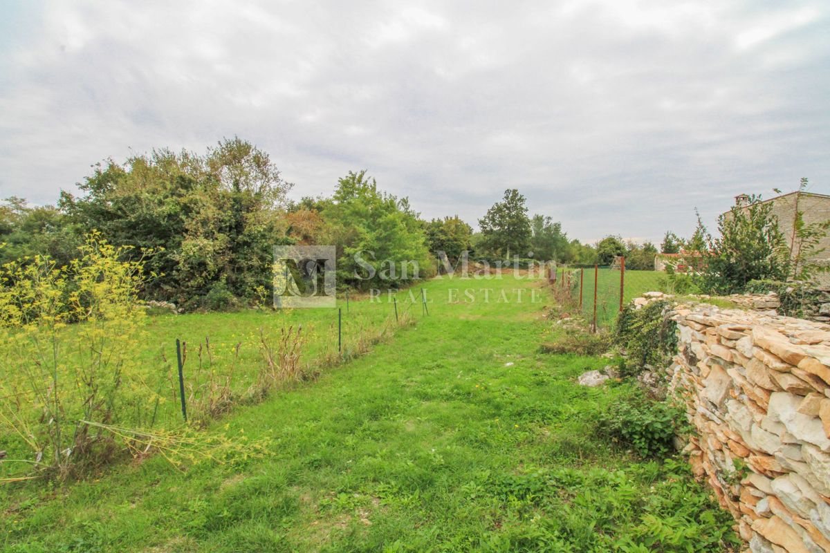 Gimino, dintorni - bel terreno nel centro del paese